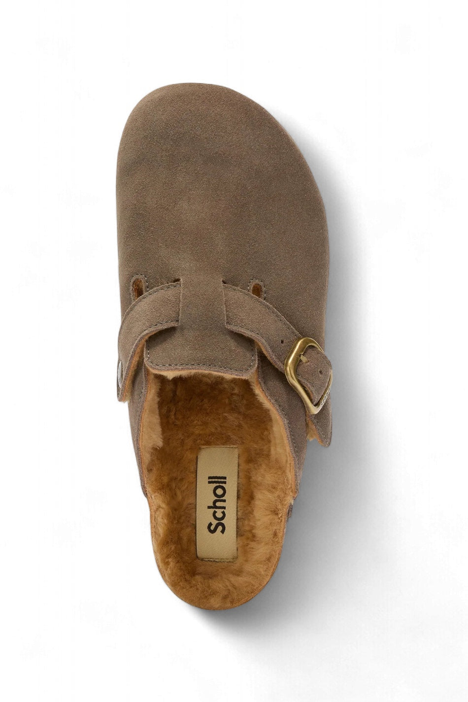 SCHOLL - MULES FAE NEW F GREY