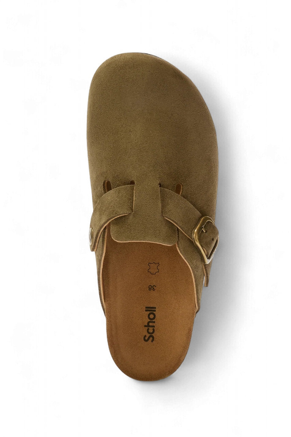 SCHOLL - MULES FAE KAKI